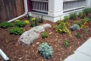 Front Yard planter with flowers and mulch