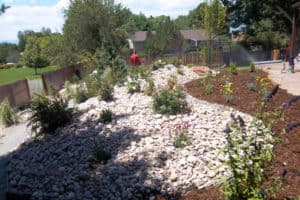 Xeriscaped Backyard with Stones, Mulch and Drought Resistant Plants