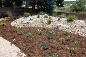Mulch, plants and xeriscaped backyard with walkway