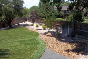 Side yard Rocks and Plantings with new Sod Yard