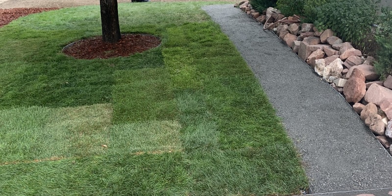 Westminster Landscaping - Sod and Breeze rock walkway