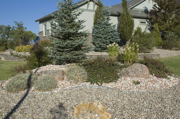 Heavily Xeriscaped Front Yard Berm