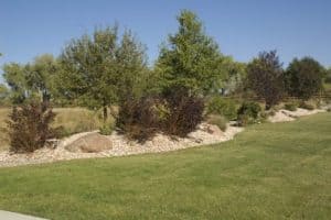 Xeriscaped Berm Area with Rocks